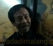 Peni : banteng tidak punya kandang