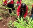 Sofia Dorong Potensi Pertanian Kabupaten Malang Bisa Sejahterakan Petani