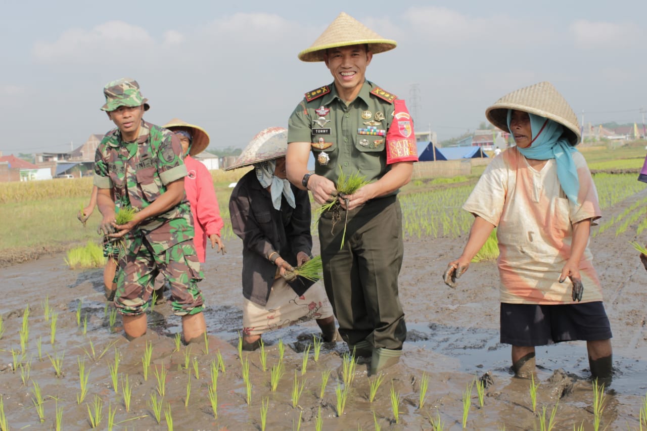 Dandim 0833 Kota Malang Turun Ke Sawah Dampingi Petani Tanam Padi