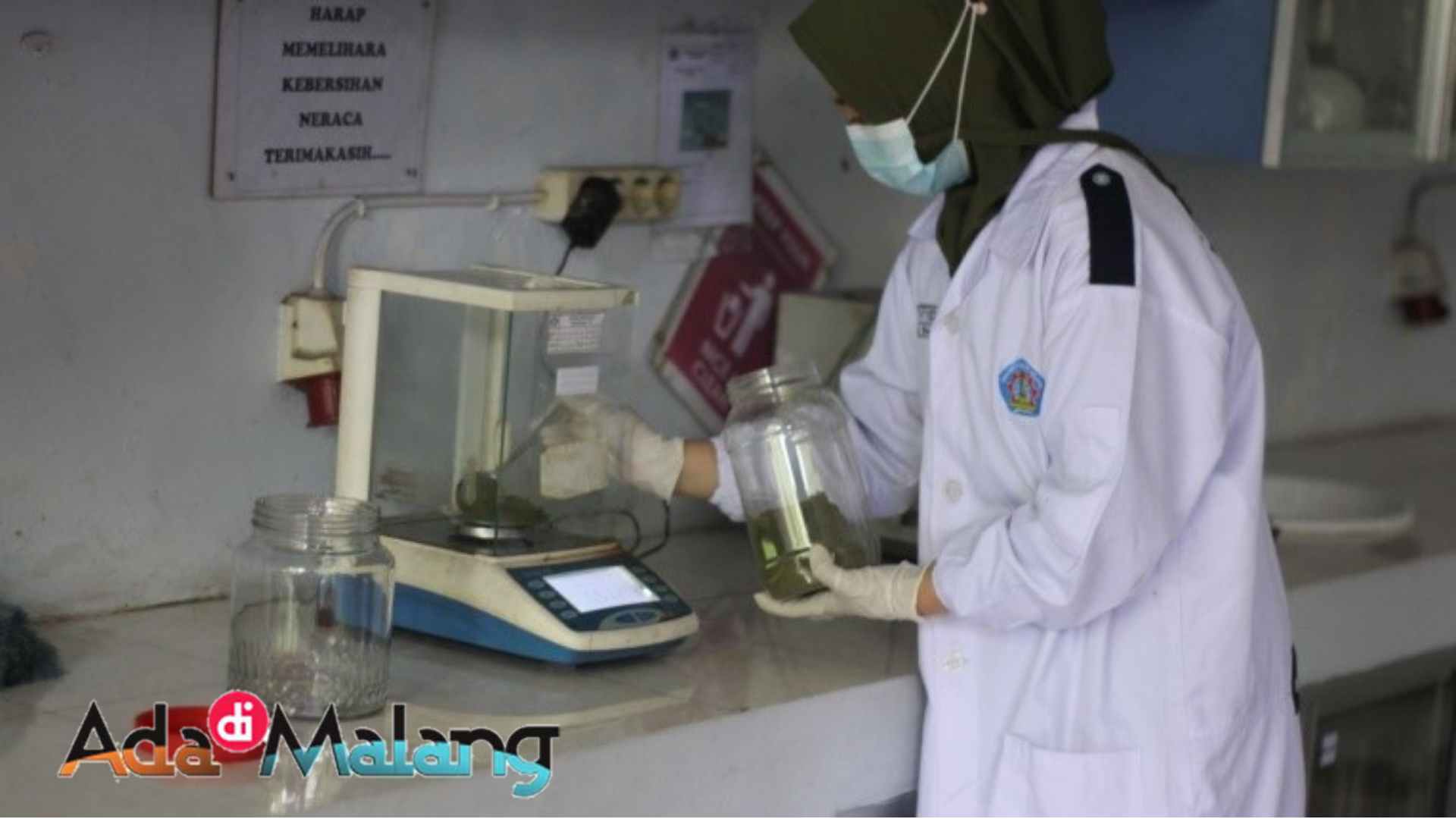 Ekstrak Etanol Daun Sirsak, Hambat Pertumbuhan Jamur Pada Buah Apel