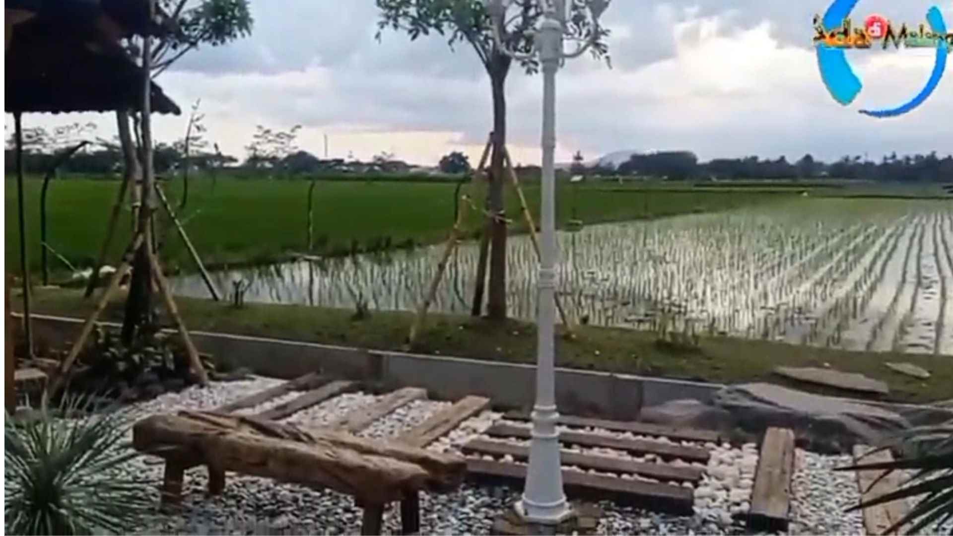 Keberadaan sawah dan lahan akan dijadikan sebagai wisata edukasi keluarga seperti menanam padi atau memberi makan hewan (Foto : Agus Y ~ AdaDiMalang.com)