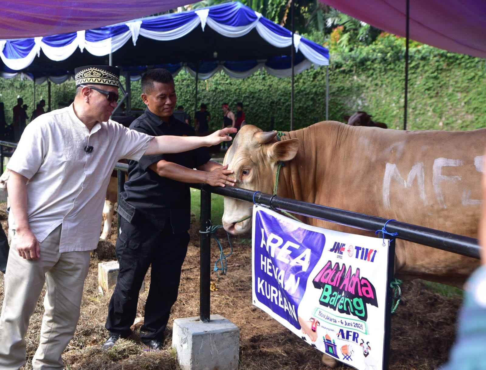 Sebelum dikurbankan, M. Feriadi Soeprapto melakukan pengecekan hewan kurban secara langsung di Yatuna (foto : Ist)
