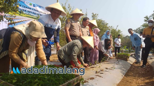 Pj Sekretaris Daerah Kota Malang, Dandung Djulharjanto beserta jajaran pejabat usai melakukan penanaman cabai di lahan Gapoktan Sumber Rejeki, Kelurahan Merjosari, Kota Malang (Foto : Fitri AdaDiMalang)