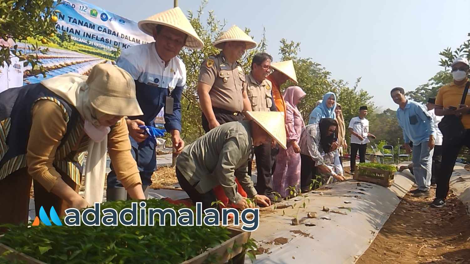 Pj Sekretaris Daerah Kota Malang, Dandung Djulharjanto beserta jajaran pejabat usai melakukan penanaman cabai di lahan Gapoktan Sumber Rejeki, Kelurahan Merjosari, Kota Malang (Foto : Fitri AdaDiMalang)