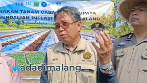 Akademisi Fakultas Teknologi Pertanian dan Kehutanan UB, Prof. Dr. Ir. Setyono Yudo Tyasmoro, M.S., saat dalam penanaman sekitar 4.000 bibit cabai di Kelurahan Merjosari pagi tadi (Foto : Fitri AdaDiMalang)